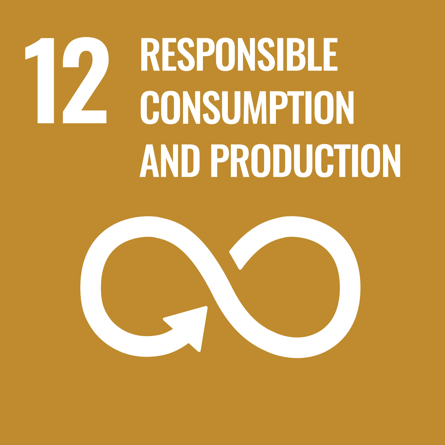 VN-duurzaamheidsdoel 12: duurzame consumptie en productie
