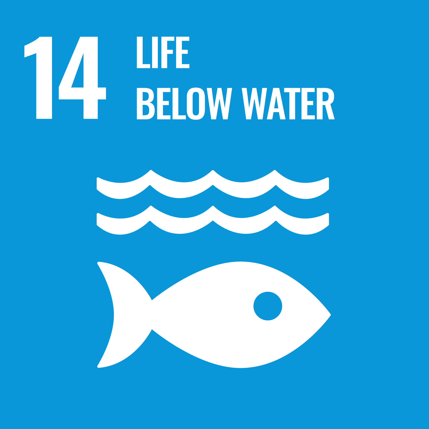 VN-duurzaamheidsdoel 14: leven onder water