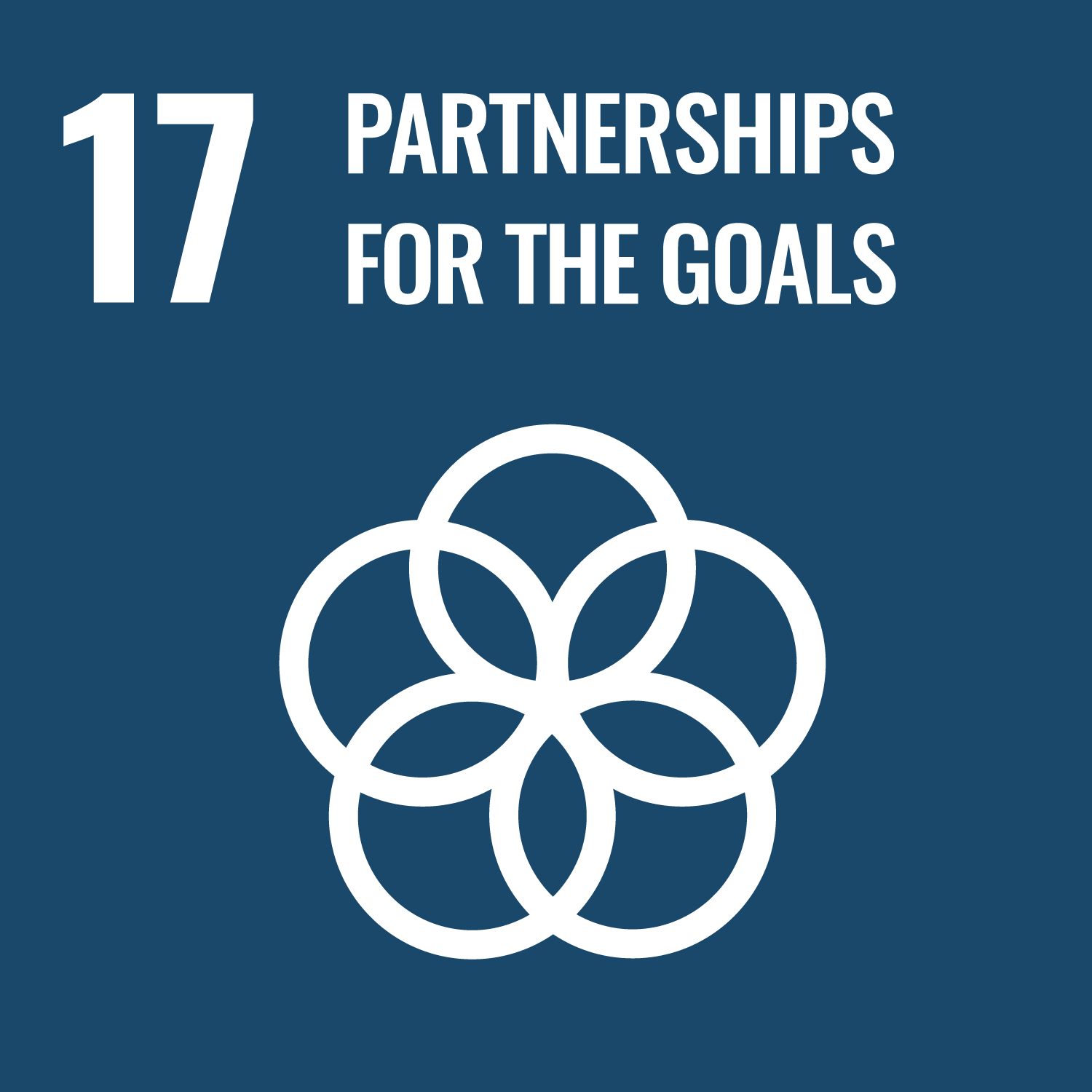 VN-duurzaamheidsdoel 17: partnerschappen voor het bereiken van de doelen